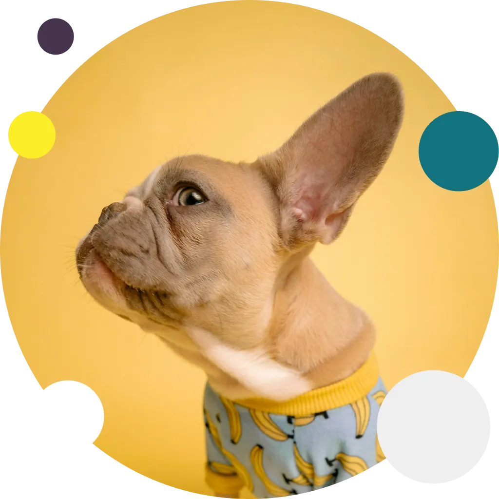 Product Managers Build Their First Tour: What We Learned